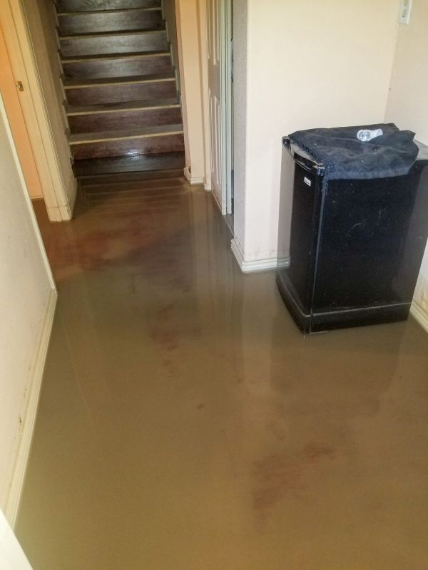Basement Water Cleanup in Phoenix, AZ