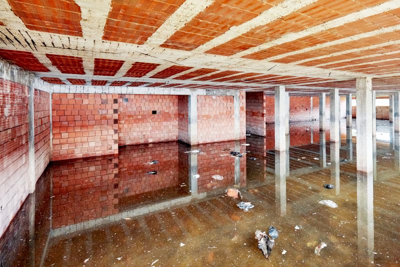 Basement Water Cleanup in Phoenix, AZ