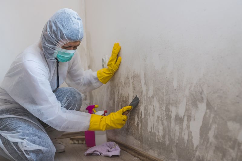 Mold Remediation Process